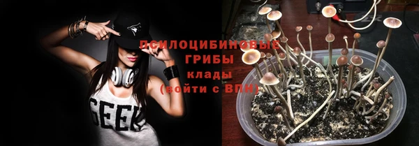 гидропоника Елизово