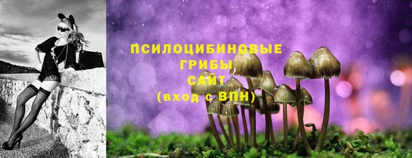 амф Елабуга